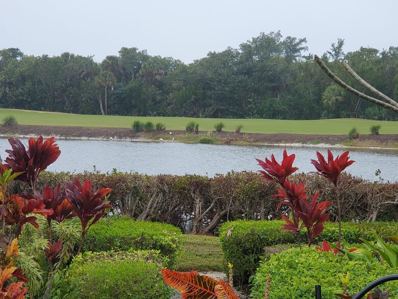 Golf course view from backyard