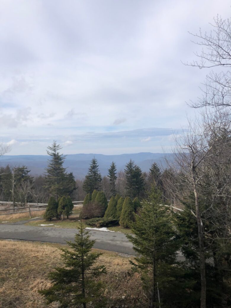 Black Bear Crossing #2 - Snowshoe, West Virginia