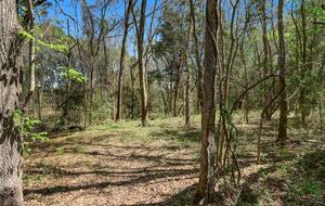 Brenham-Home/Barn & "Little Spot of Heaven" Vacation Retreat - Brenham, Texas