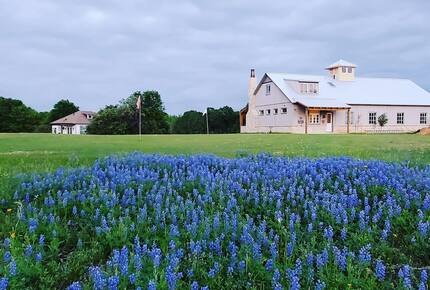 Brenham-Home/Barn | Amazing place to stay! - Brenham, Texas
