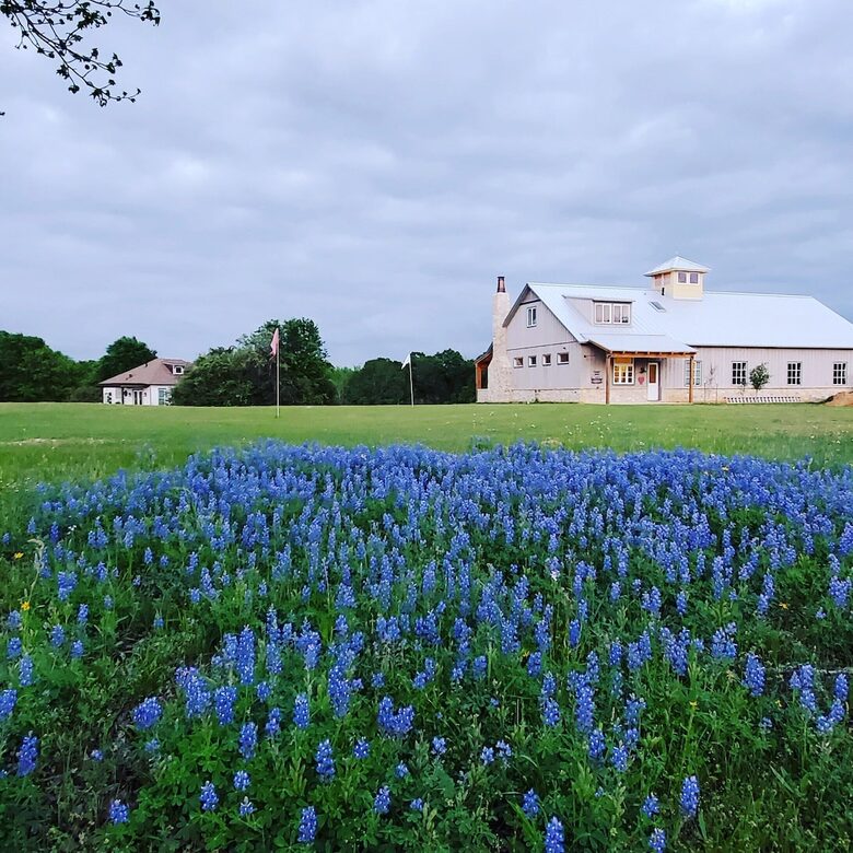 Brenham-Home/Barn | Amazing place to stay! - Brenham, Texas