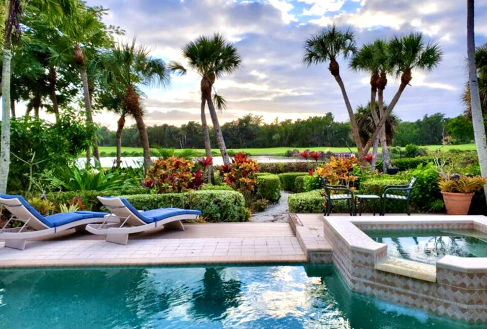 Pool and the backyard