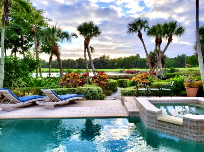 Pool and the backyard