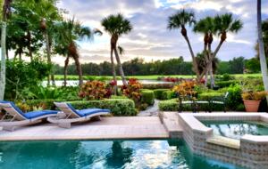 Pool and the backyard