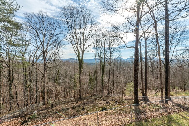 White Pine Retreat | Pet friendly, Beautiful Views and 20 Minutes to Asheville! - Arden, North Carolina