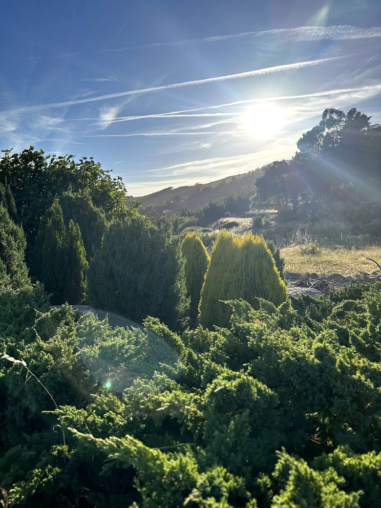 Fóia Mountain Lodge - Monchique, Portugal