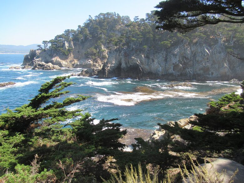 Point Lobos