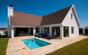 Garden with pool
