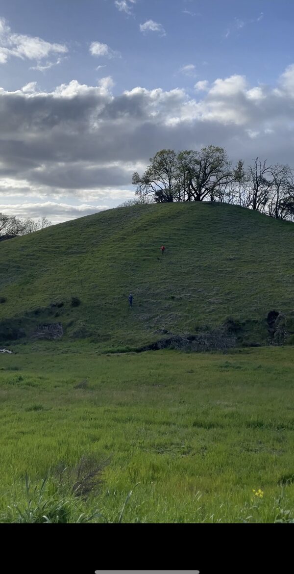 Chalk Hill Ranch - Healdsburg, California