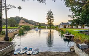 Luxury Napa Estate in the Heart of Wine Country