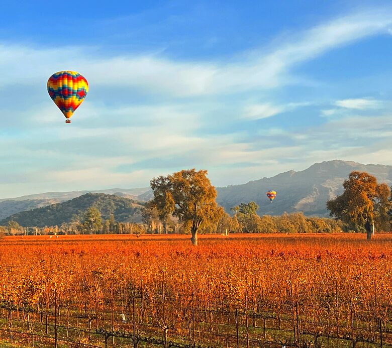 Luxury Napa Estate in the Heart of Wine Country - Napa, California