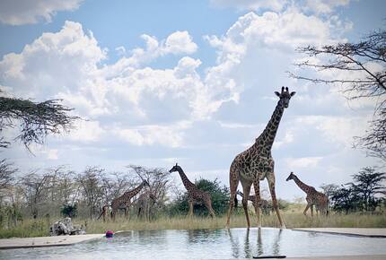 Marapenda House - Masai Mara, Kenya