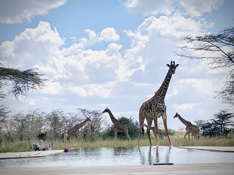Marapenda House - Masai Mara, Kenya