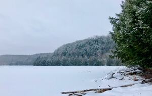 Luxury Drag Lake Cottage | With Hot Tub - Haliburton, Canada