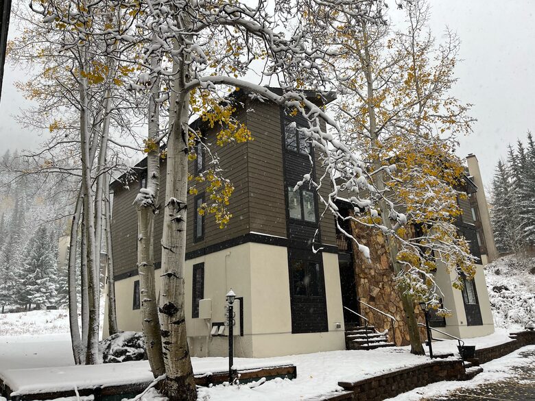 Timber Fox - Vail, Colorado