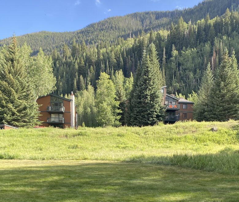 View from Back Deck