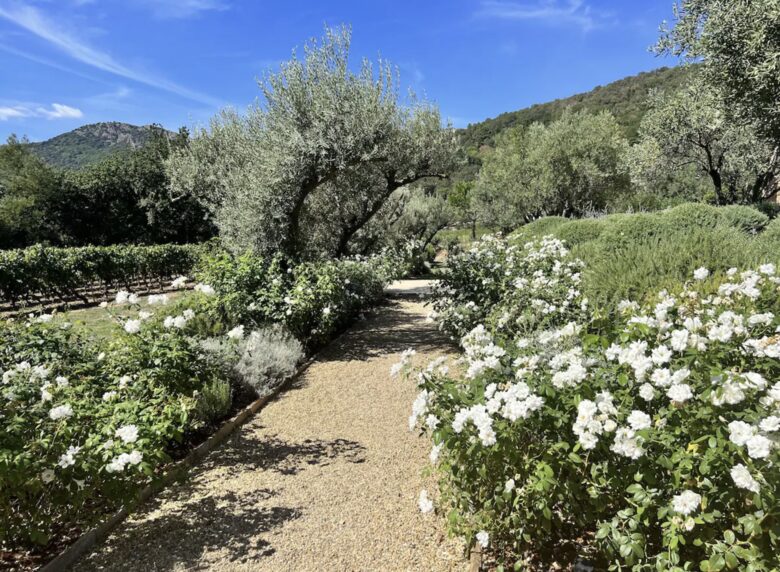 Provencal Stone House set in Vineyards - La Garde-Freinet, France