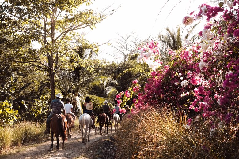 Casa Maleku | 4 Kings + Ensuites | Ocean View Lux - Santa Teresa, Costa Rica