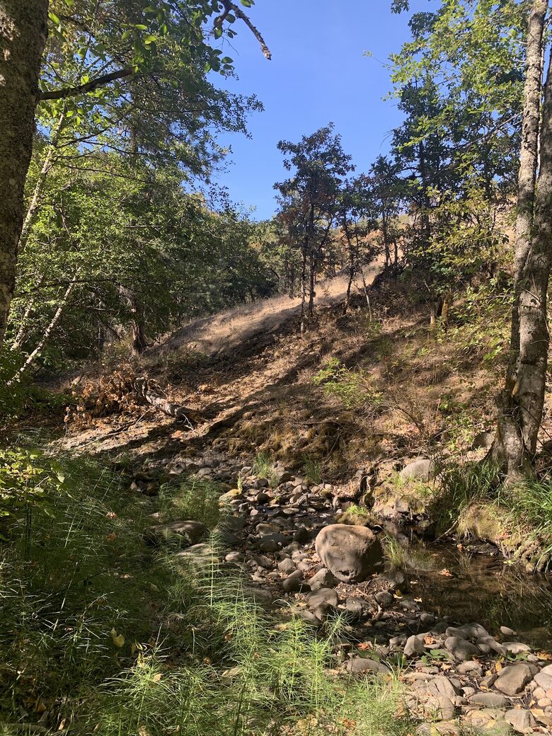 Serene Cabin in the Woods with Creek - Mosier, Oregon