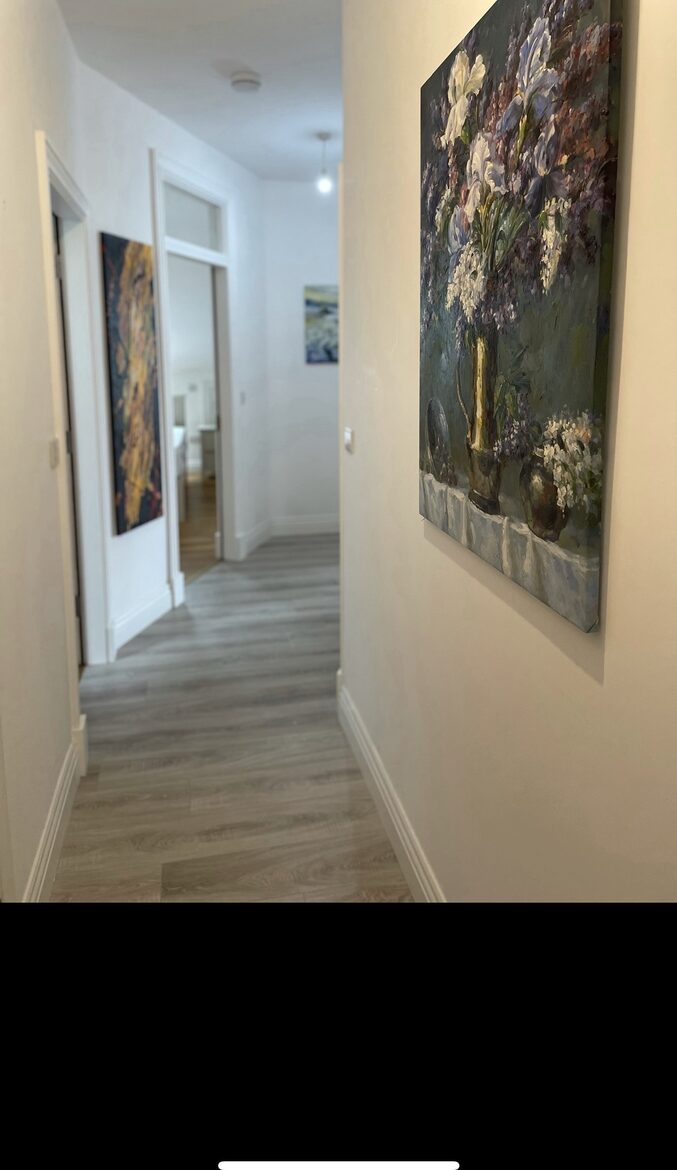 Luxury Waterfront Apartment - Co Roscommon, Ireland