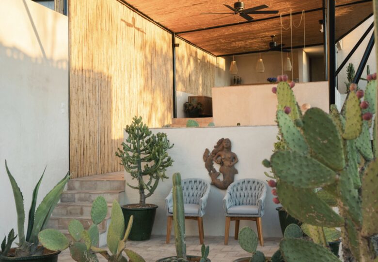 Casa Brava Oaxaca - Oaxaca de Juárez, Mexico