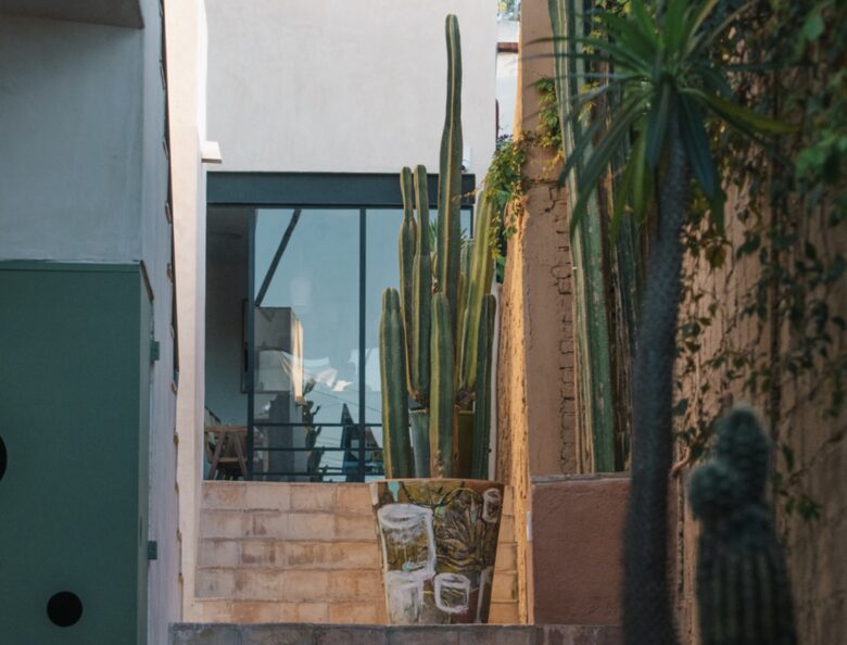 Casa Brava Oaxaca - Oaxaca de Juárez, Mexico