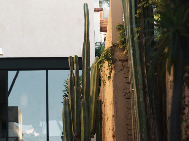 Casa Brava Oaxaca - Oaxaca de Juárez, Mexico