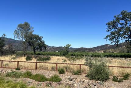 Calistoga - Napa Valley Guesthouse Retreat - Calistoga, California