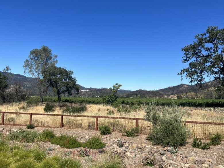 Calistoga - Napa Valley Guesthouse Retreat - Calistoga, California