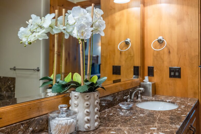 Luxury Deer Valley (mid-mountain) Ski-In/Ski-Out - Park City, Utah