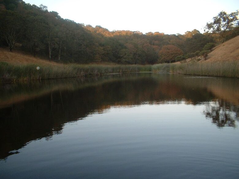 Chalk Hill Ranch - Healdsburg, California