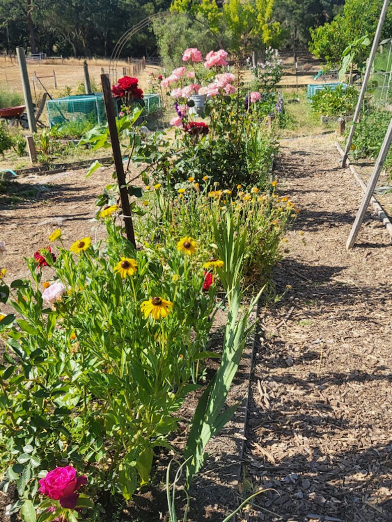 Chalk Hill Ranch - Healdsburg, California