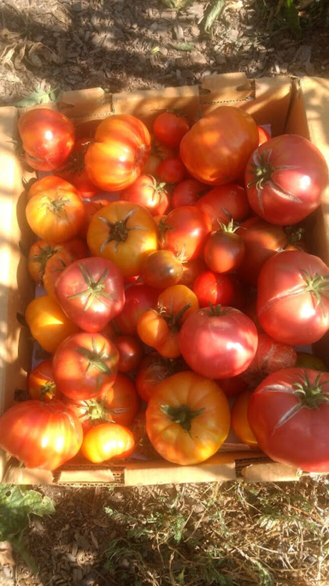 Chalk Hill Ranch - Healdsburg, California