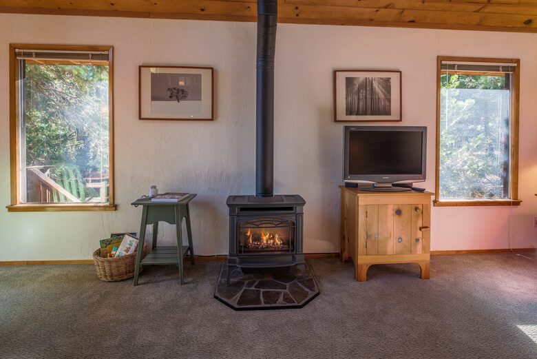 Pooh Corner Mountain Cabin - Camp Connell, California