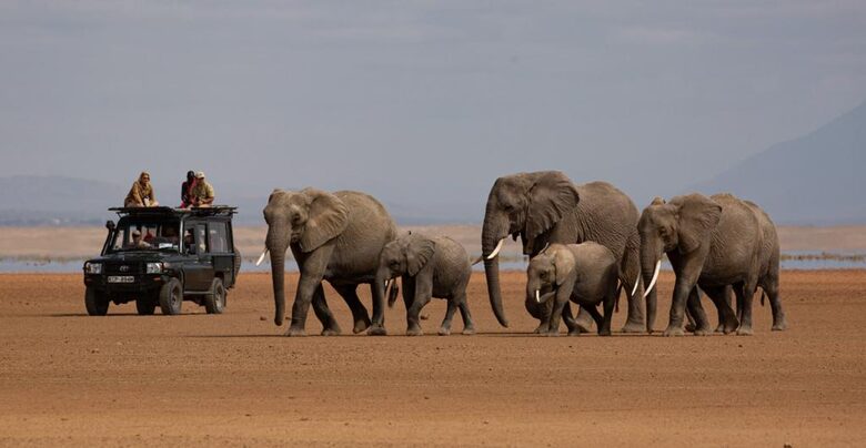 Marapenda House - Masai Mara, Kenya