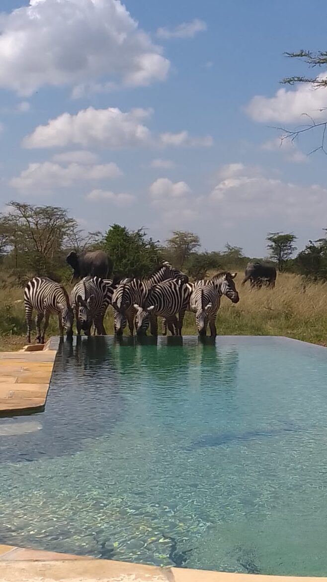 Marapenda House - Masai Mara, Kenya