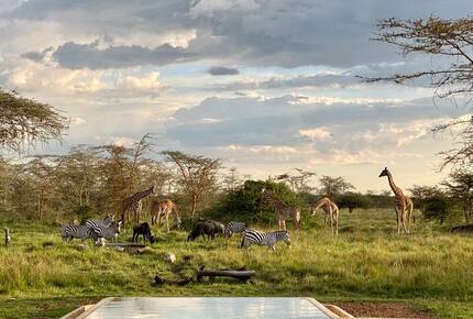 Marapenda House - Masai Mara, Kenya