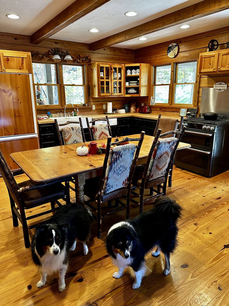 Custom Built Log Cabin on Pristine Lake Santeetlah - Robbinsville, North Carolina