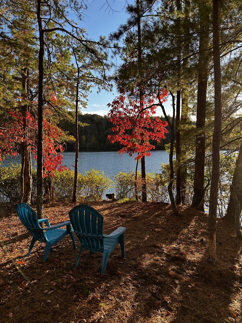 Custom Built Log Cabin on Pristine Lake Santeetlah - Robbinsville, North Carolina