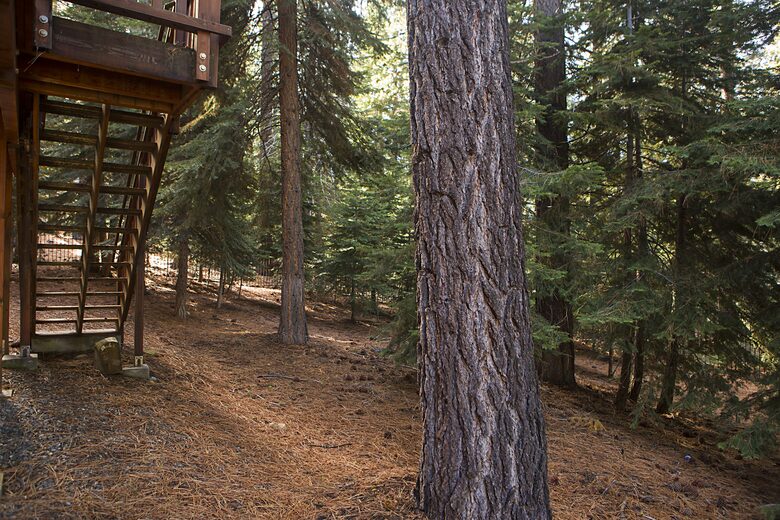 Big Luxury South Lake Tahoe Home - South Lake Tahoe, California