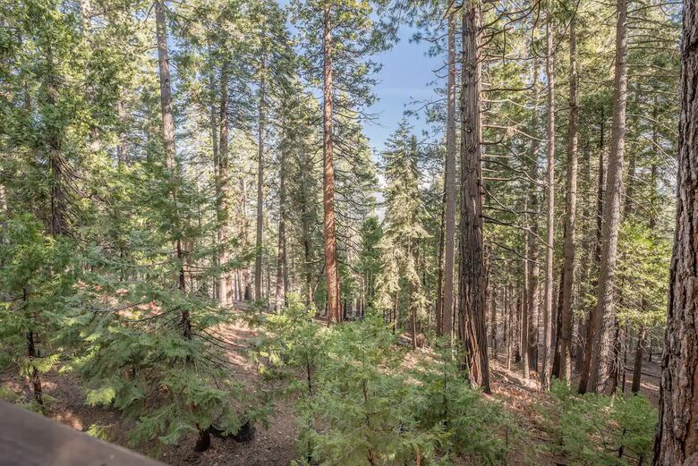 Pooh Corner Mountain Cabin - Camp Connell, California