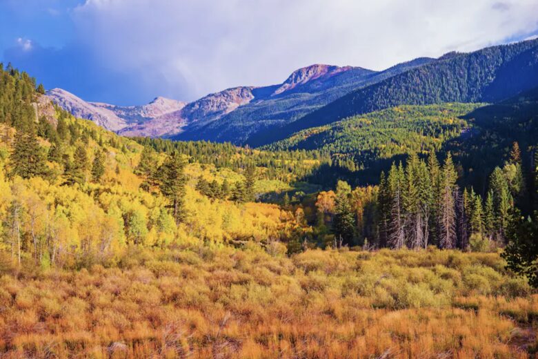 Stone Creek Getaway - Avon, Colorado