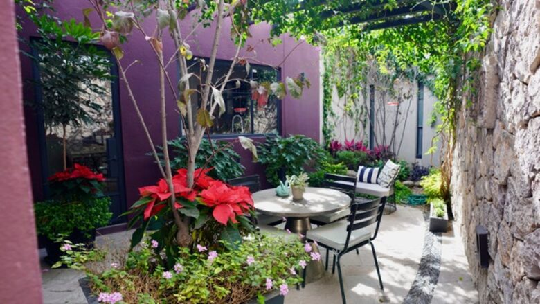Modern Home with Terrace Kitchen - San Miguel de Allende, Mexico
