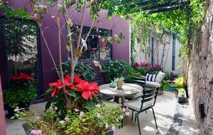 Modern Home with Terrace Kitchen - San Miguel de Allende, Mexico