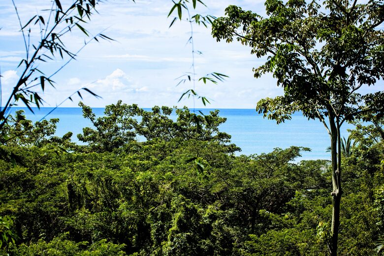 Hermosa Treehouse - Santa Teresa, Costa Rica