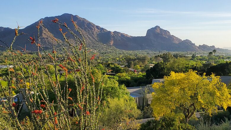 Award Winning Hillside Retreat - Paradise Valley, Arizona