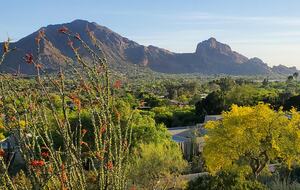 Award Winning Hillside Retreat with Stunning Valley Views - Paradise Valley, Arizona