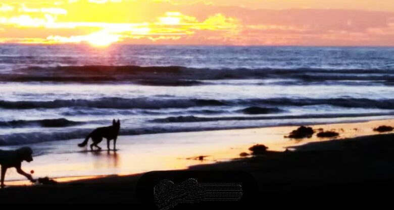 Ocean View Condo Steps to Beach - Solana Beach, California