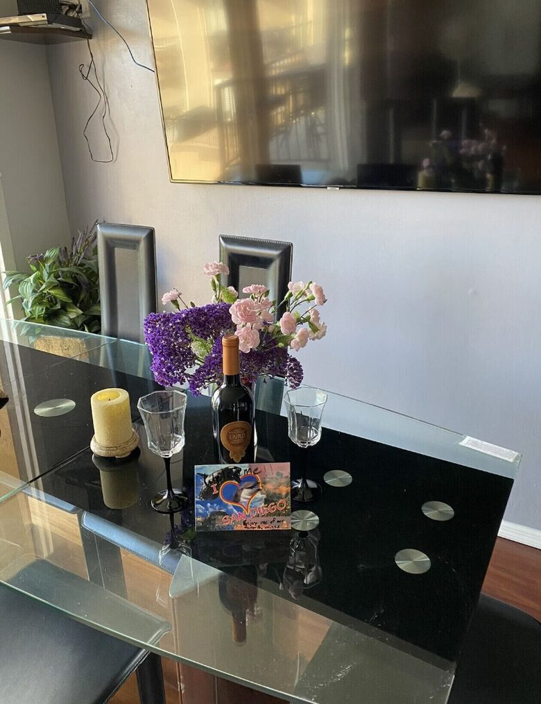 Ocean View Condo Steps to Beach - Solana Beach, California