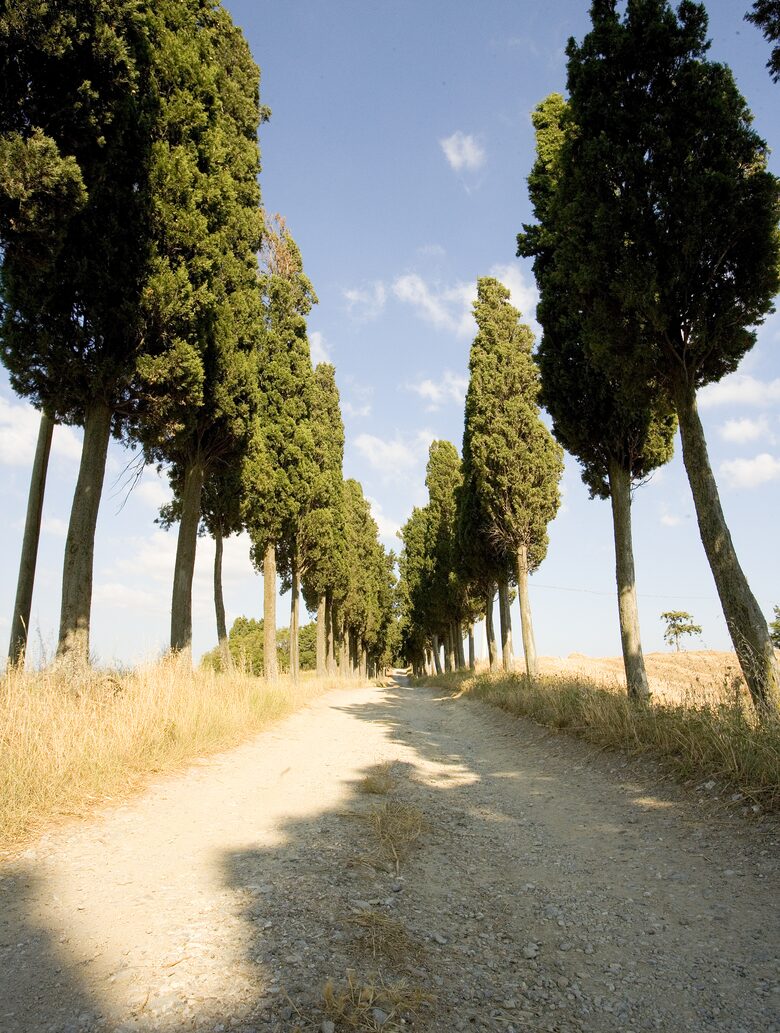 The Hideaways Club - Podere Le Sensaie - La Sterza, Italy